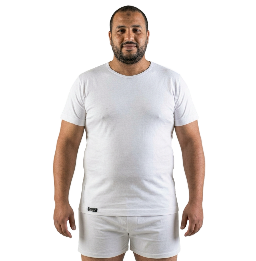 T-shirt Col Rond Basic 100% Coton - 2000